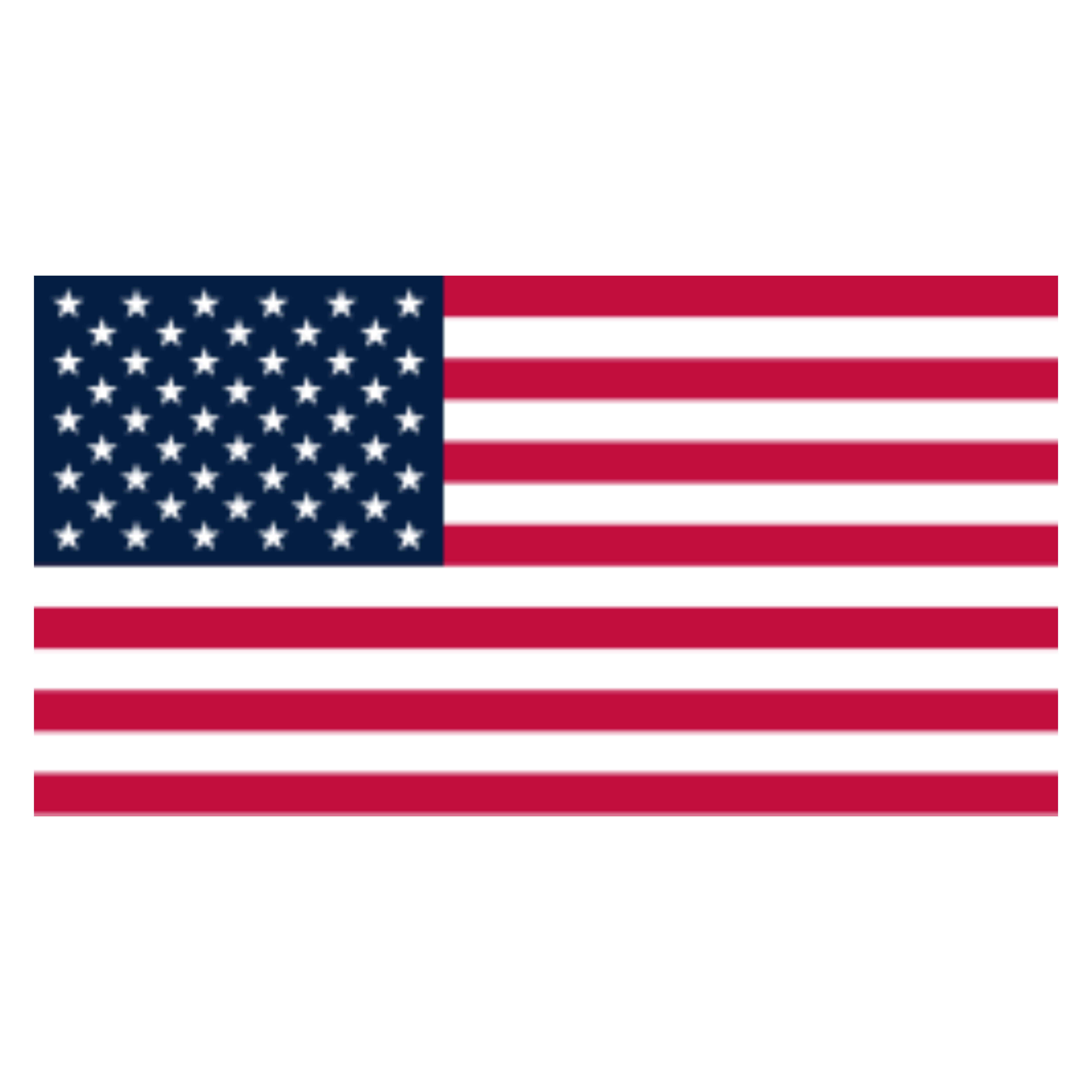 USA Flag